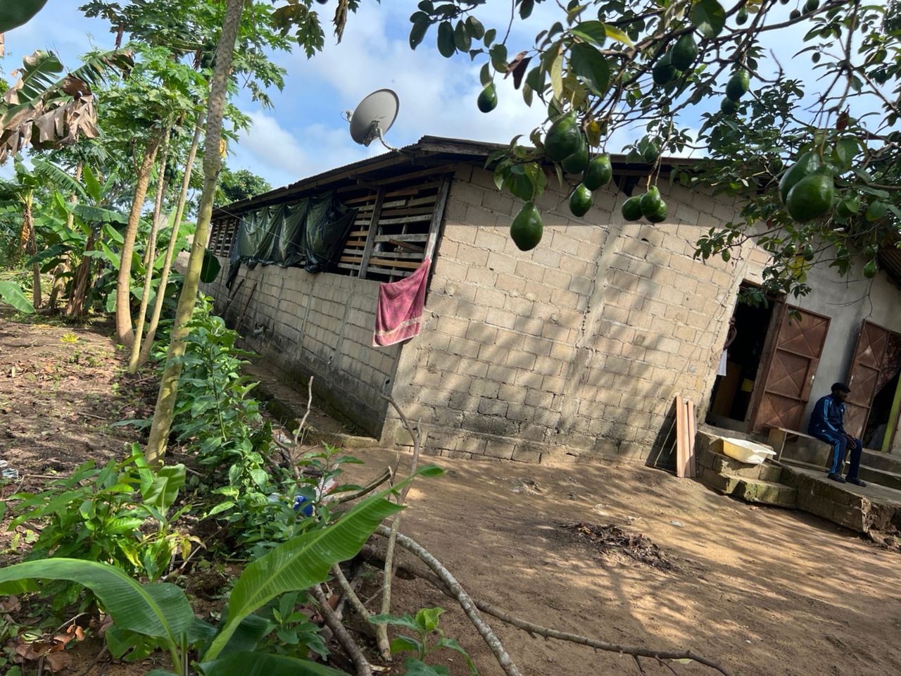 Poulailler en construction